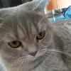 david_footbollist - @david_footbollist - TikTok
