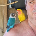 David Litchfield - @davidlitchfield2 - Instagram
