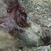 David Litteral - Facebook