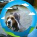 David Litton - Facebook