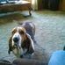 David Litton - Facebook
