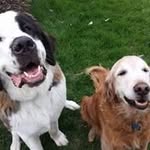 David Lobdell - @lobdell.david - Instagram