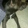 David Löcher - @davidlöcher - TikTok