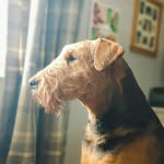 David Lockwood - @locky5uk - Instagram
