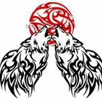 David Loffredo - @davidloffredo - Instagram