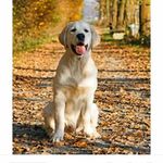 David Loftin - @davidloftin5411 - Instagram
