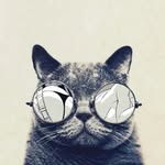 David e Logic - @david3logic - Instagram