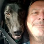 David Loignon - @dloignon - Instagram
