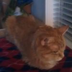David Loken - @sontaran.potato - Instagram