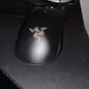 David_lol - @davidnum43 - TikTok