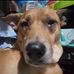 Lolenie David - Facebook