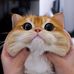 David Lolo - Facebook