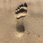 David Londergon - @davidlondergon - Instagram