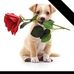 David Loner - Facebook