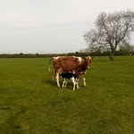 David Loney - @loneydavid2 - Instagram