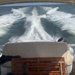 David Longfield - @djlongfield - Instagram