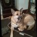 David Longfoot - Facebook