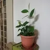 David Long - @david.long39 - TikTok