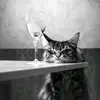 davidelonghini - @davidelonghini525 - TikTok