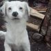 David Longino - Facebook