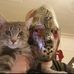 David Longley - Facebook