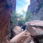 David Longley - @davidwlongley - Instagram
