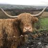 David Longridge798 - @davidlongridge798 - TikTok