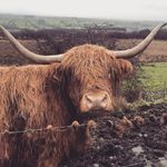 David Longridge - @david.longridge.148 - Instagram