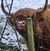 David Longridge - Facebook