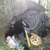Dave Longworth - Facebook
