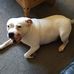 David Longworth - Facebook
