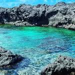 David Lonis - @lonisdavid - Instagram
