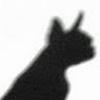 David Lonsberry595 - @gonzberry - TikTok