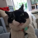 David Losteiner - @davay87580 - Instagram