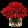 DavidLonut616 - @davidlonut616 - TikTok