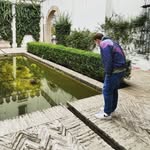 David looking at … - @davidlookingatthings - Instagram