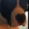 DavidLookSoWeird - @davidlooksoweird - TikTok