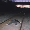 David Llorente385 - @david.llorente66 - TikTok