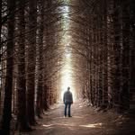 David Loughman - @david_loughman - Instagram