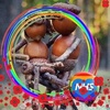 David Loughran - @davidloughran - TikTok