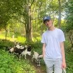 David Löwenberg - @davidlowenberg - Instagram