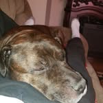 david lowrie - @davethe1mangang - Instagram