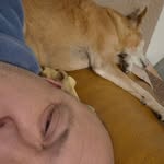 David Lozzi - @david__david73 - Instagram