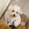 davidubitz - @davidubitz - TikTok