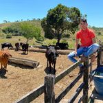 _David_ - @_.david_lucena._ - Instagram
