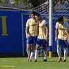david_luciani_9 - @david_luciani_9 - TikTok