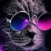 David Lucid - @user60129300167348 - TikTok