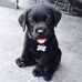 David Lucidi - Facebook