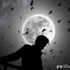 ☯David ဖြုတ်ကြီး🔯☯ - @david.lucius - TikTok