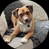 user70880555082936 - @david.lucius733 - TikTok